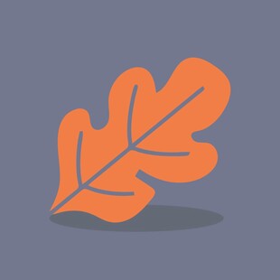 橙色橡树叶图标