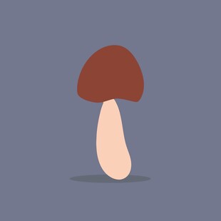 卡通风格蘑菇插画