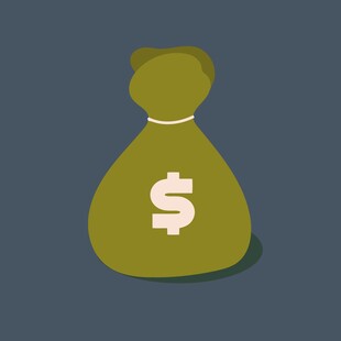 绿色美元钱袋图标