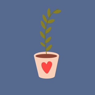 爱心花盆中的绿植