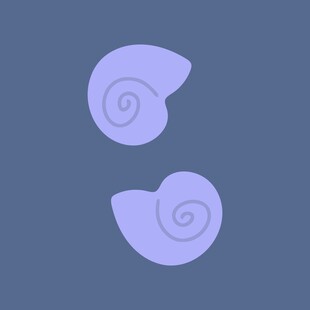 淡紫色螺旋贝壳图案
