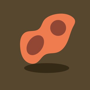 卡通风格的双圆橙色物体