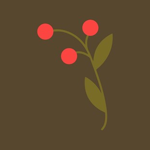 红色浆果植物插画