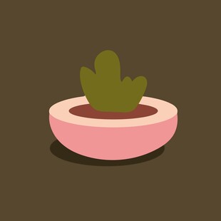 粉色花盆中的绿色仙人掌