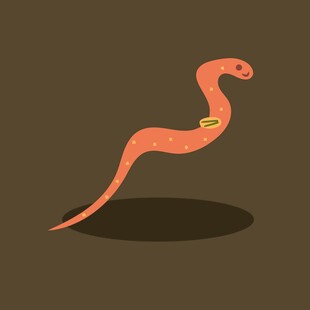 卡通风格红色蛇形象