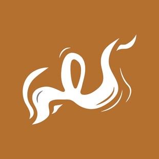 抽象飘逸曲线艺术图形