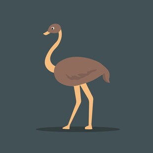 站立的鸵鸟卡通形象