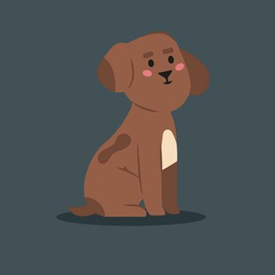 可爱棕色小狗坐立