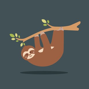 倒挂树枝的可爱树懒