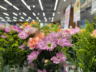 室内缤纷花卉景观