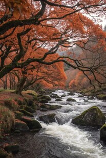 溪边红枫