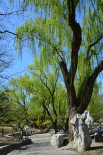 公园风景  