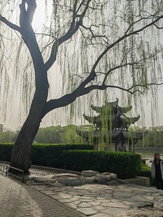 公园风景  