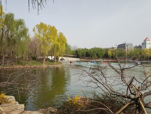 公园风景 