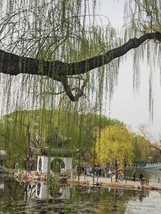 公园风景  