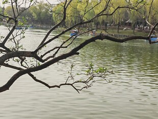 公园风景 