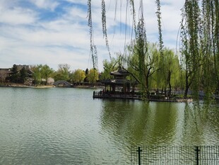 公园风景  