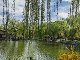 公园风景 
