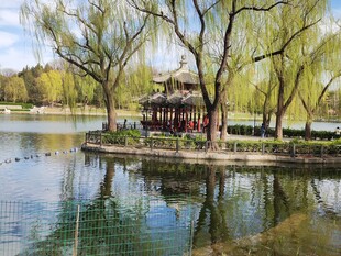 公园风景  