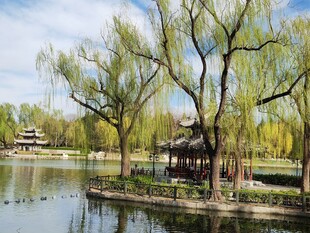 公园风景 