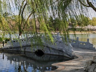 公园风景  