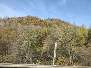 秋日山林风景