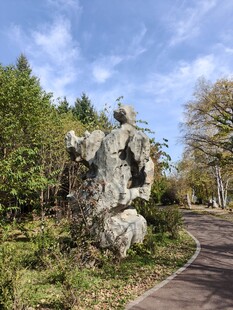 林间奇石