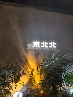 夜晚发光植物