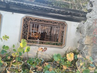 中式窗景绿植环绕的雅致