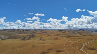 广袤旷野蓝天白云美景