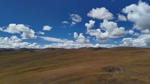 辽阔草原上的蓝天白云