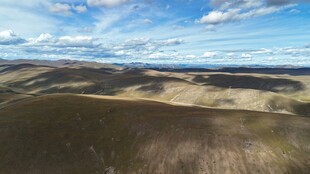 广袤原野的壮丽风光