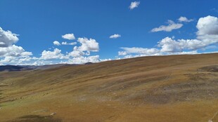 广袤草原上的晴朗蓝天