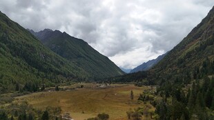 山谷中的开阔草地景观