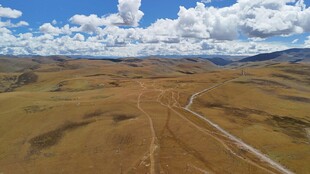 广袤荒原中的蜿蜒道路