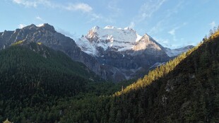 壮丽雪山与葱郁山林景观