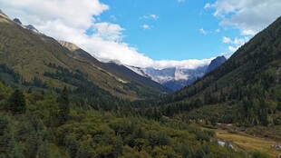 山谷美景绿意盎然的山林