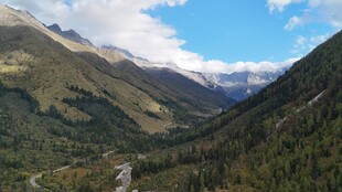 山间美景绿意盎然的山谷