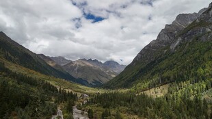 山间绿野云雾缭绕美景