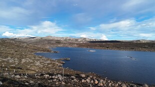 宁静湖边的开阔自然景致