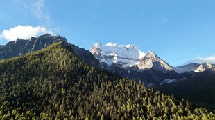 壮丽山峦间的翠绿森林