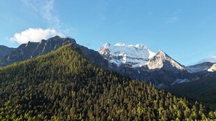 高山森林壮丽自然景观