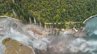 山间瀑布旁的翠绿景致