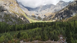 山间葱郁森林与壮丽山脉