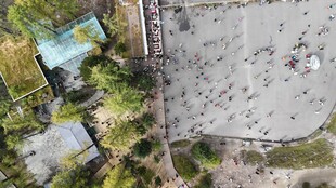 俯瞰城市绿植与建筑景观