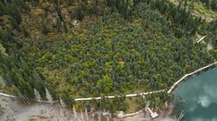 俯瞰葱郁山林与水域