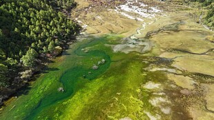 俯瞰翠绿山谷与蜿蜒溪流