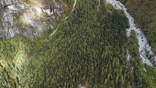 俯瞰葱郁山林与蜿蜒溪流