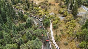 山间蜿蜒栈道景色迷人