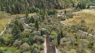 俯瞰山林中的蜿蜒道路